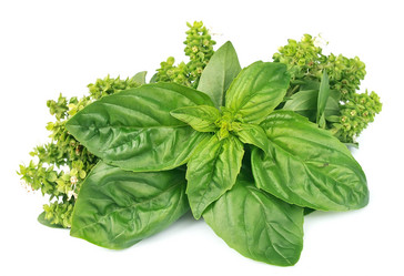 Similar image 1799209