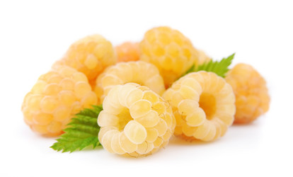 Similar image 1799213