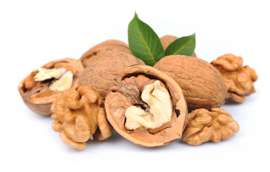 Similar image 1799217