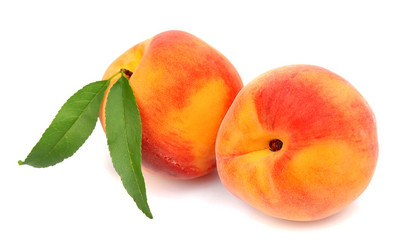 Similar image 1799221