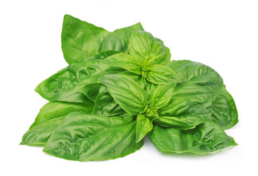 Similar image 1799222