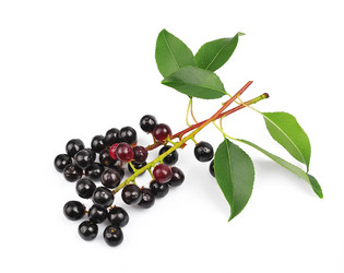 Similar image 1799226