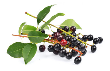 Similar image 1799230