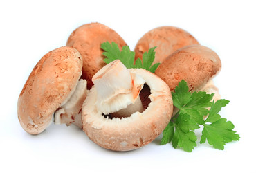 Similar image 1799234