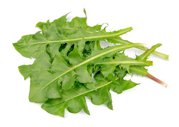 Similar image 1799235