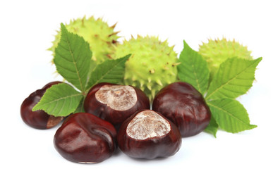 Similar image 1799237