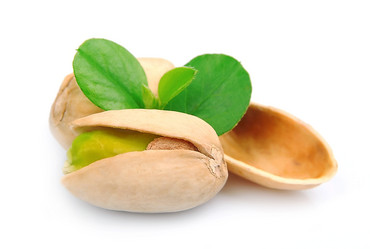 Similar image 1799241