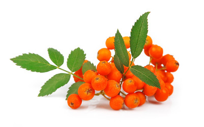 Similar image 1799242