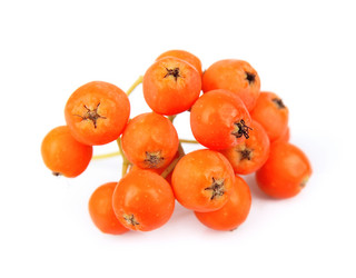 Similar image 1799243