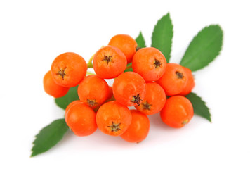 Similar image 1799244