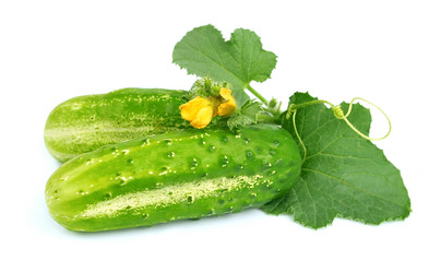 Similar image 1799256