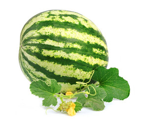 Similar image 1799257