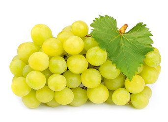 Similar image 1799258