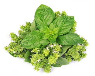 Similar image 1799259