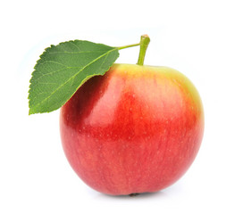 Similar image 1799260