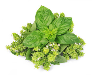 Similar image 1799276