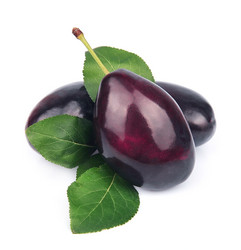 Similar image 1799281