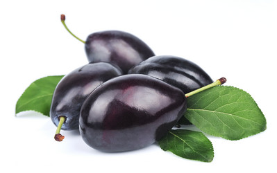 Similar image 1799282