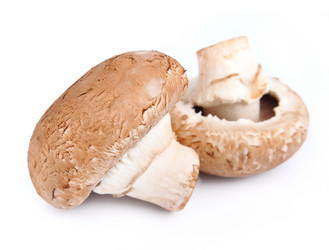 Similar image 1799284