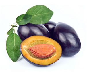 Similar image 1799285