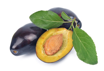 Similar image 1799286