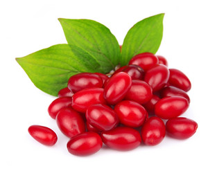 Similar image 1799295