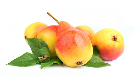 Similar image 1799304