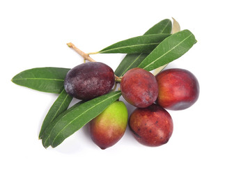 Similar image 1799330