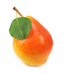 Similar image 1799331