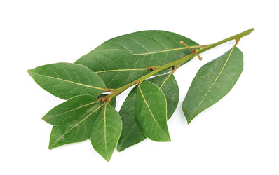 Similar image 1799332