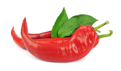 Similar image 1799335