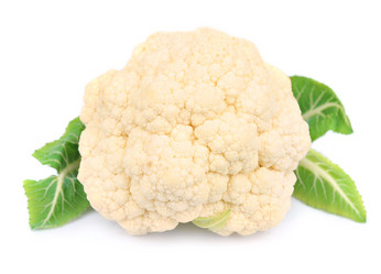 Similar image 1799336