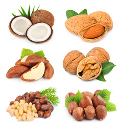 Similar image 1799340