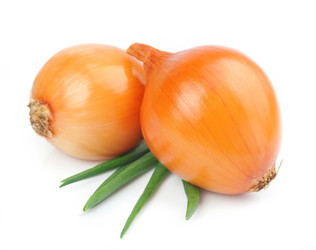 Similar image 1799358