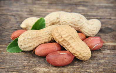 Similar image 1799365