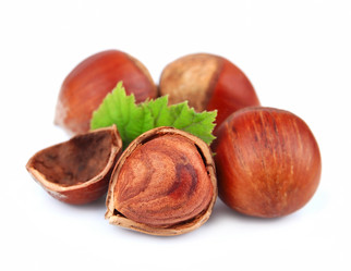 Similar image 1799366