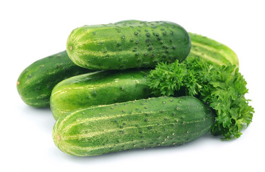 Similar image 1799374