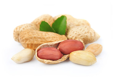 Similar image 1799379