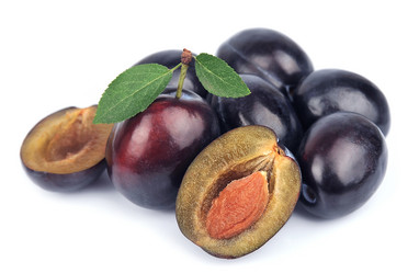 Similar image 1799395