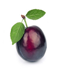 Similar image 1799396