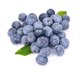 Similar image 1799401