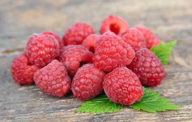 Similar image 1799404