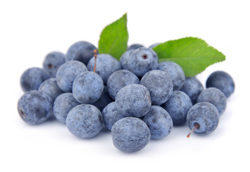 Similar image 1799409