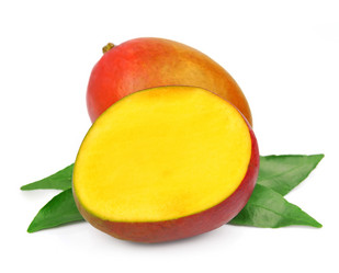 Similar image 1799459