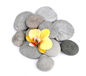 Similar image 1799463