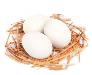 Similar image 1799492