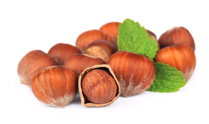 Similar image 1799519