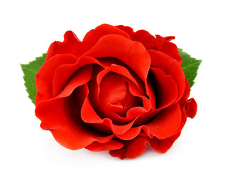 Similar image 1799520