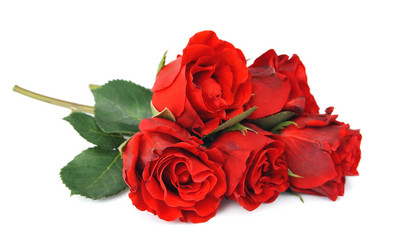 Similar image 1799521