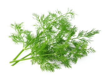 Similar image 1799523